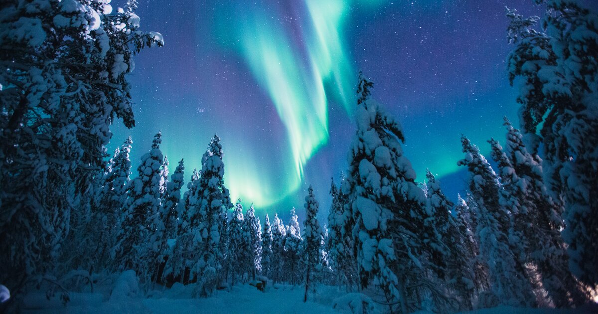 Northern Lights Sweden, Finland Tours 20232025 Albatross